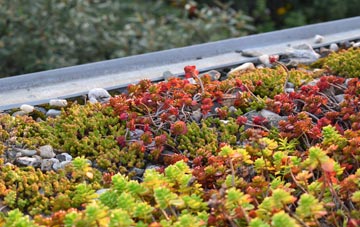 the cost of Pitlessie green roof installation