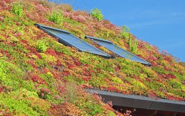 Pitlessie living roof systems