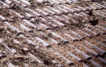 Pitlessie roof cleaning companies