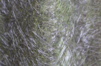 Pitlessie fibreglass roof work